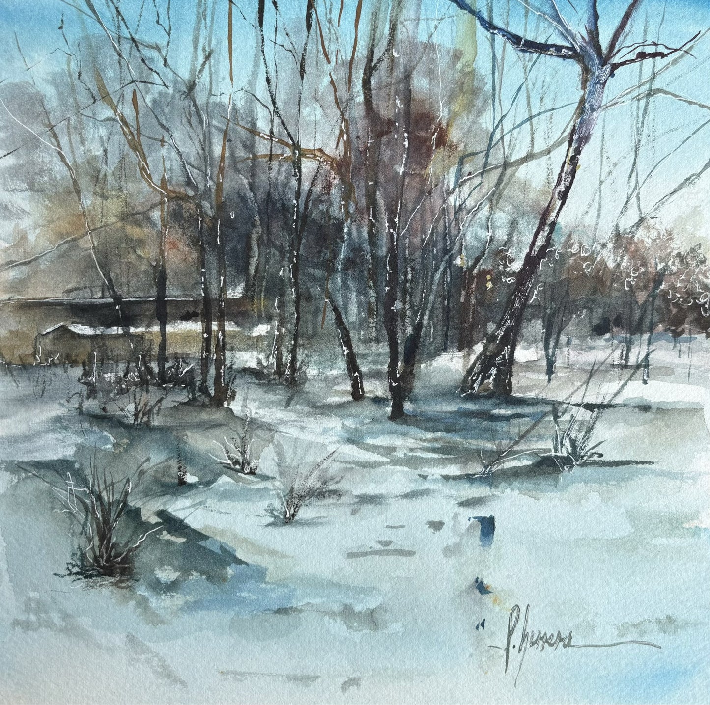 Silencio de Invierno